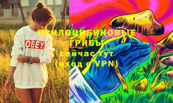 Альфа ПВП Баксан