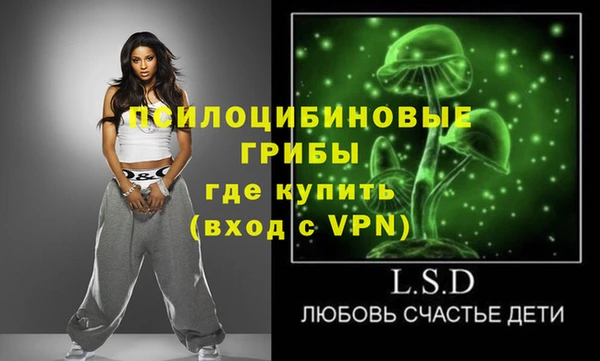 шишки Балабаново