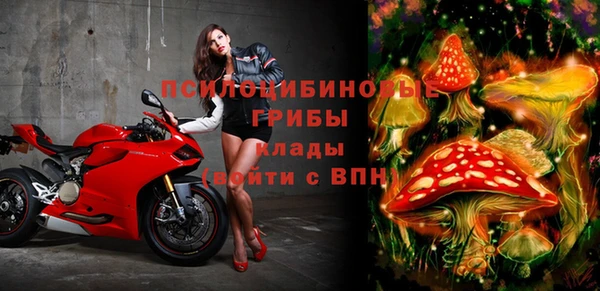Альфа ПВП Баксан