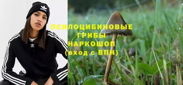 стаф Белоозёрский